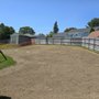 Photo of Beyond The Roots Landscape & Tree Care