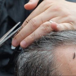 Larchmont Barber Shop - Cutting