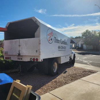 Tree Genius - Nice equipment - Tree Services Near Me