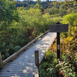 Thundering Brook Falls - Boardwalk