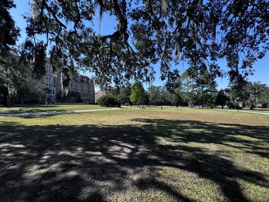 Landis Green by null