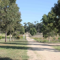 Unity Park - Trees.....yay.