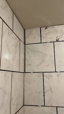 Singleton Affordable Home Care Logo