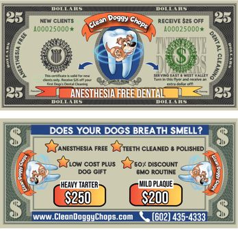 Clean Doggy Chops - Pet Services Near Me Clean Doggy Chops - Pet Services Near Me