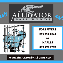 Alligator Bail Bonds