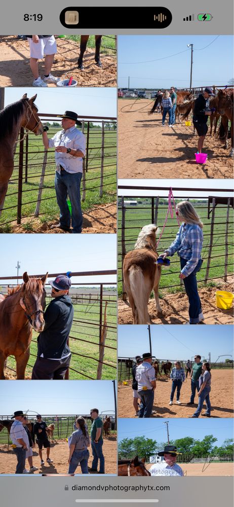 I Am K9 & Equine - social services organization in Clatonia , NE
