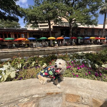 San Antonio River Walk - Tours Near Me San Antonio River Walk - Tours Near Me