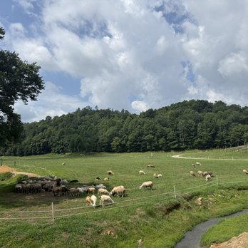 Cress Creeks Farm - Venues & Event Spaces Near Me - Ellijay, Georgia