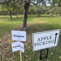 Terrace Mountain Orchard - Orchard