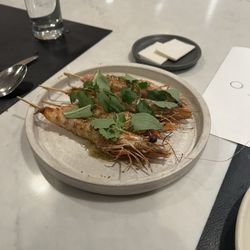 Birch - Prawns