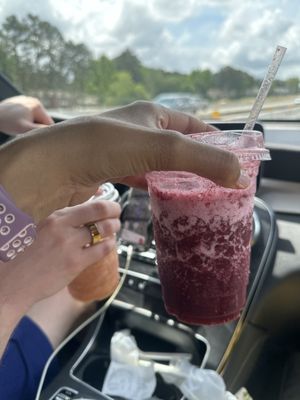 The Reizod Vegan Experience by null