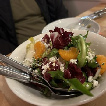 VinoVero - Chicory Salad - salads are great here - Wine Bars Near Me - Los Gatos, California VinoVero - Chicory Salad - salads are great here - Wine Bars Near Me - Los Gatos, California