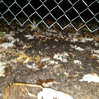 All-Pro Fence - Part of the sections of fence where there are gaps underneath letting the animals in and out and my dog got his head stuck twice now. - Decks & Railing Near Me All-Pro Fence - Part of the sections of fence where there are gaps underneath letting the animals in and out and my dog got his head stuck twice now. - Decks & Railing Near Me