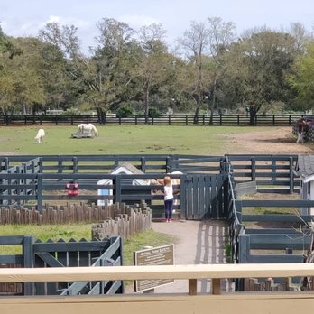Lawton Stables - Horse Boarding Near Me - Hilton Head Island, South Carolina