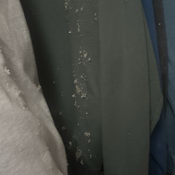 Terminix - A sample of insulation left on clothing - Pest Control Near Me - Columbus, Ohio Terminix - A sample of insulation left on clothing - Pest Control Near Me - Columbus, Ohio