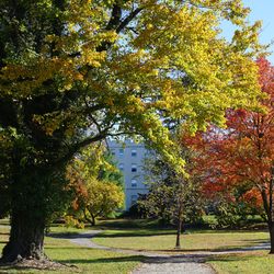 College Manor - Fall Walkway