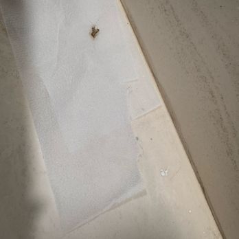 Portside Inn & Suites - Silverfish I killed - Hotels Near Me - Los Angeles, California Portside Inn & Suites - Silverfish I killed - Hotels Near Me - Los Angeles, California