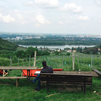 Heuriger Hirt - Lovely view. - Heuriger Near Me - Vienna, 9