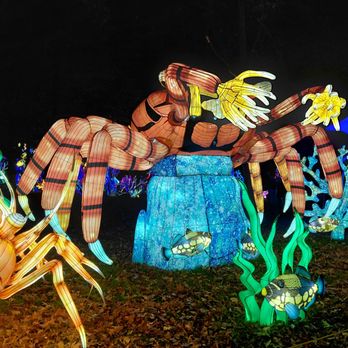 Elite Experience: Dragon Lights Reno - Yelp Events Near Me - Reno, Nevada