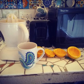 Morning Song Farm - We made our own orange juice with the oranges outside our tent. - Bed & Breakfast Near Me - Rainbow, California Morning Song Farm - We made our own orange juice with the oranges outside our tent. - Bed & Breakfast Near Me - Rainbow, California