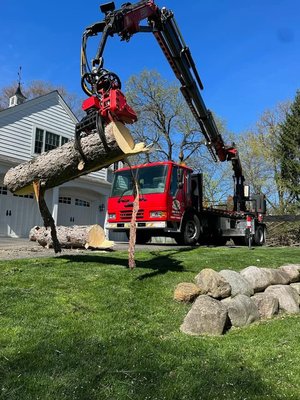 Tree Removal - Sometimes a tree needs to come down — whether it’s dead, diseased, storm damaged, or simply in the wrong place. Active Tree Experts has been safely removing trees of all sizes since 1994. Our crew is fully licensed and insured and equipped with state of the art mechanical crane assisted removal equipment, allowing us to take down even the most difficult trees safely without damaging your property. No job is too big or too small. Tree Removal - Sometimes a tree needs to come down — whether it’s dead, diseased, storm damaged, or simply in the wrong place. Active Tree Experts has been safely removing trees of all sizes since 1994. Our crew is fully licensed and insured and equipped with state of the art mechanical crane assisted removal equipment, allowing us to take down even the most difficult trees safely without damaging your property. No job is too big or too small.
