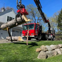 Active Tree Experts