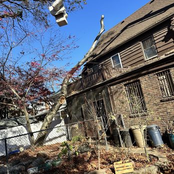 Estrada Tree Service - Estrada Tree Service partial tree removal. - Tree Services Near Me Estrada Tree Service - Estrada Tree Service partial tree removal. - Tree Services Near Me