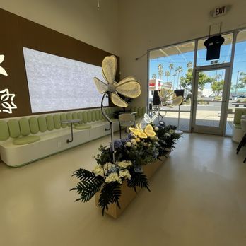 MYM Modern Tea - front of store - Bubble Tea Near Me - Garden Grove, California MYM Modern Tea - front of store - Bubble Tea Near Me - Garden Grove, California