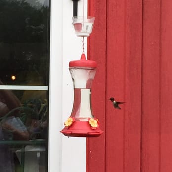 Coal Creek Cellars Winery - Wineries Near Me - Crawfordsville, Indiana