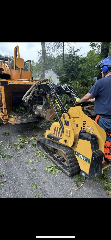 ENR-Tree - tree service in East Longmeadow, MA