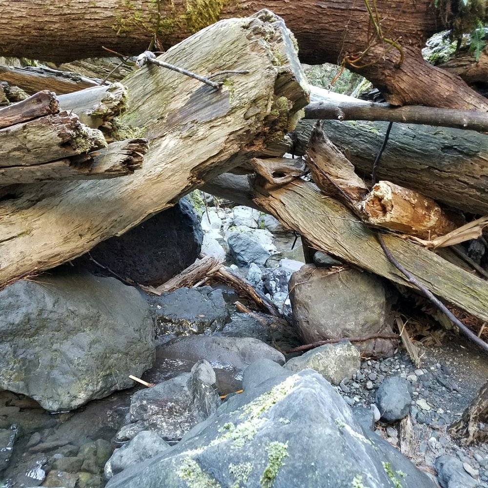 Rocky Brooks Falls - Hiking Near Me - Brinnon, Washington Rocky Brooks Falls - Hiking Near Me - Brinnon, Washington