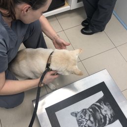 Check up time! The lady on the left was super nice. Check up time! The lady on the left was super nice.