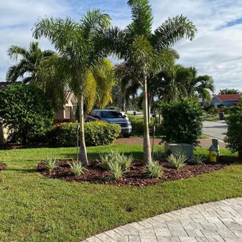 Mills Landscaping - palm trees in front of a house - Landscaping Near Me - St. Petersburg, Florida Mills Landscaping - palm trees in front of a house - Landscaping Near Me - St. Petersburg, Florida