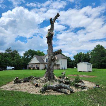 Walters Bros - Tree Services Near Me - Murfreesboro, Tennessee Walters Bros - Tree Services Near Me - Murfreesboro, Tennessee