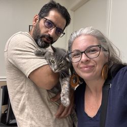 Winter Springs Veterinary Clinic - Tony's first visit to the vet....no longer a street cat