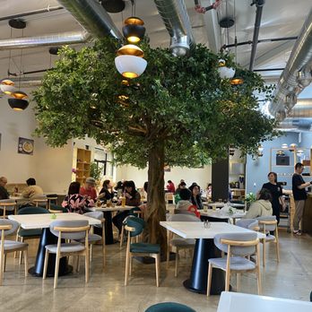 Baby Cafe - Cafes Near Me - San Leandro, California Baby Cafe - Cafes Near Me - San Leandro, California