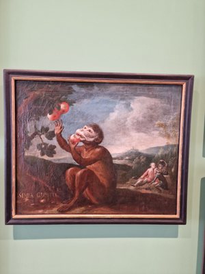 Vonderau Museum by null