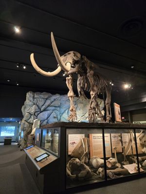 RMSC (Rochester Museum & Science Center) by null