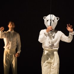 NW Dance Project - Captivating image from Felix Landerer's "All's Been Said".