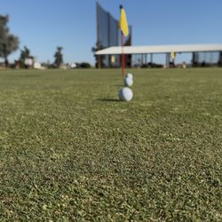 Golf Ranch - Putting green