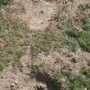 Photo of Lathrop M Septic Service