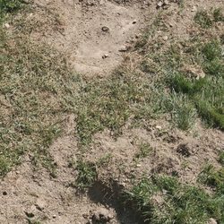 Lathrop M Septic Service