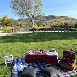 Farmers Market Picnics
