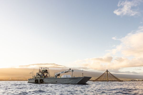 Blue Ocean Mariculture by null