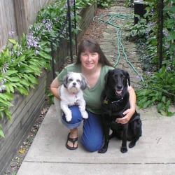 Woods Wags & Wiggles - At Woods Wags and Wiggles we care when you can't be there.