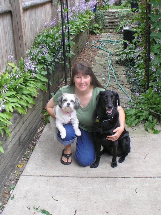 Woods Wags & Wiggles - pet boarding facility in Downers Grove, IL