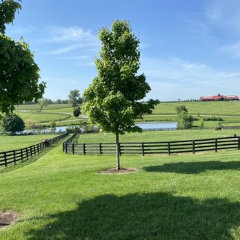 Unique Horse Farm Tours - Another beautiful picture of one of the farms - Tours Near Me - Lexington, Kentucky Unique Horse Farm Tours - Another beautiful picture of one of the farms - Tours Near Me - Lexington, Kentucky