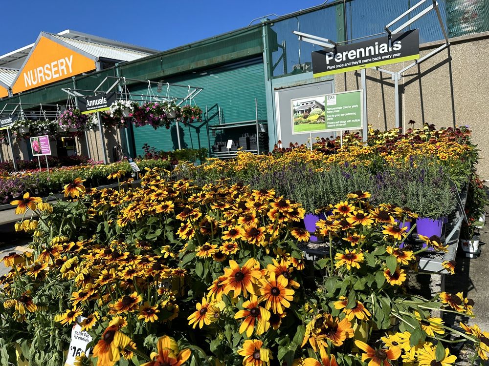 THE HOME DEPOT Updated October 2024 46 Photos & 61 Reviews 75