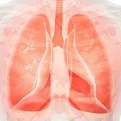 The Institute For Respiratory and Sleep Medicine - Untitled