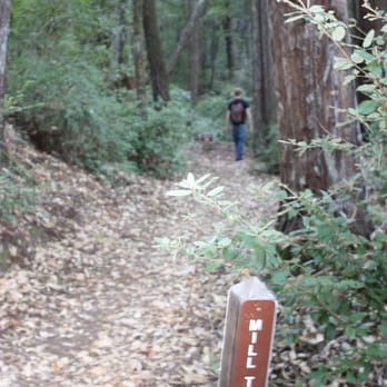 Benbow Lake State Recreation Area - Hiking Trail. - Parks Near Me - Garberville, California Benbow Lake State Recreation Area - Hiking Trail. - Parks Near Me - Garberville, California